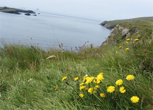 Ring of Kerry - June 24, 2014