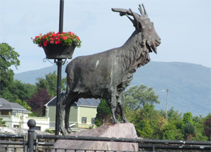 Ring of Kerry - June 24, 2014