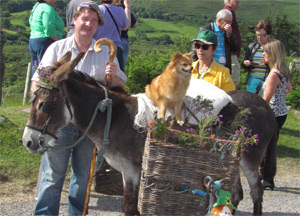 Ring of Kerry - June 24, 2014