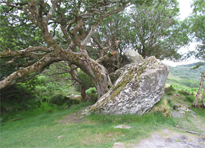 Ring of Kerry - June 24, 2014