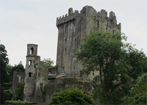  Blarney Castle and Waterford - June 25, 2014