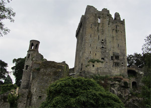  Blarney Castle and Waterford - June 25, 2014