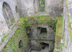  Blarney Castle and Waterford - June 25, 2014