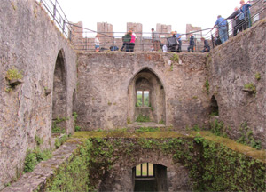  Blarney Castle and Waterford - June 25, 2014