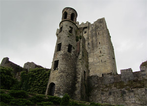  Blarney Castle and Waterford - June 25, 2014