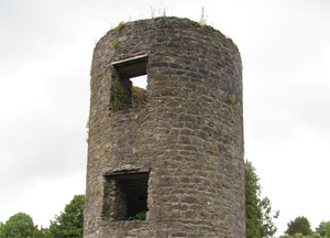  Blarney Castle and Waterford - June 25, 2014