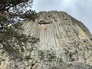 Devils Tower National Monument behind bush