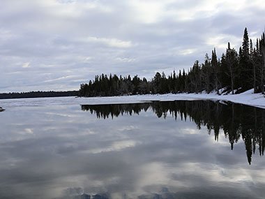 Trees reflect over Jenny Lake