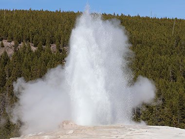 Geyser erupts - Yellowstone National Park