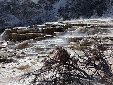 Steam rises in Mammoth Hot Springs