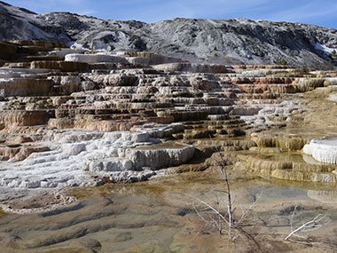 Yellowstone National Park geological formations at Mammoth Hot Springs