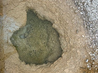 Yellowstone National Park pool