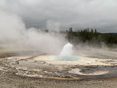 Yellowstone National Park geyser bubbling