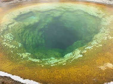 Yellowstone National Park pool steams