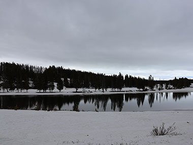 Yellowstone National Park trees reflect over lake