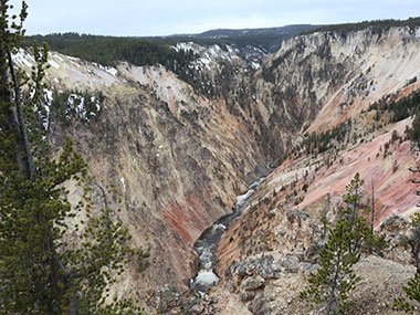 Yellowstone National Park river flows