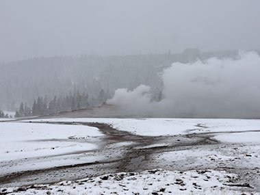 Steam rises from Old Faithful as it snows