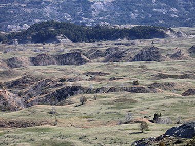 Theodore Roosevelt National Park view from hilltop