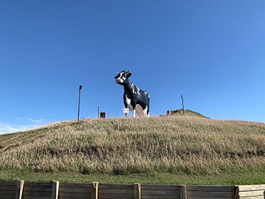 World's Largest Holstein Cow stands on top of hill