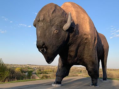 HWorld's Largest Buffalo with valley behind