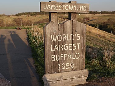World's Largest Buffalo sign