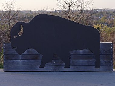Buffalo sign