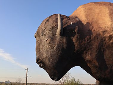World's Largest Buffalo face
