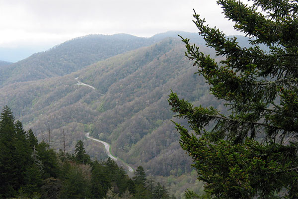 Road winds in valley