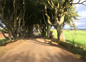 Dark Hedges - October 11, 2016