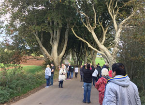 Dark Hedges - October 11, 2016