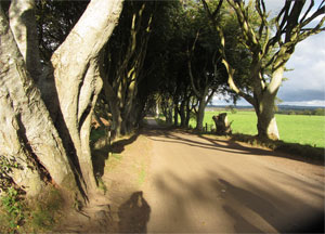 Dark Hedges - October 11, 2016
