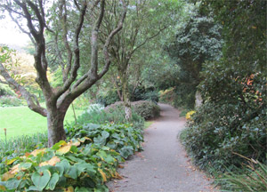 Glenveagh Castle and Gardens - October 15, 2016
