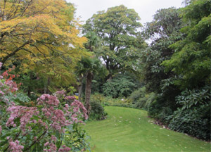 Glenveagh Castle and Gardens - October 15, 2016