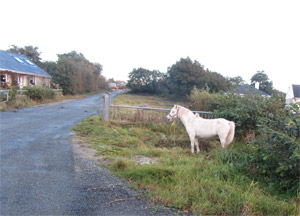The Road Back to Dungloe - October 15, 2016