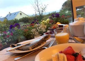 A little breakfast before we hit the road. - October 16, 2016