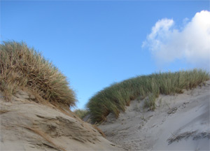 Maghera Beach and Caves - October 15, 2016