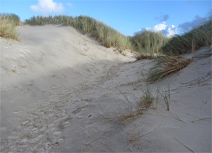Maghera Beach and Caves - October 15, 2016