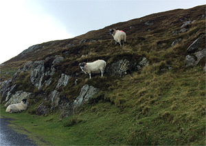 Slieve League Day Two - October 17, 2016