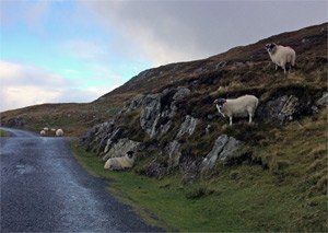 Slieve League Day Two - October 17, 2016
