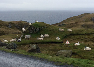 Slieve League Day Two - October 17, 2016