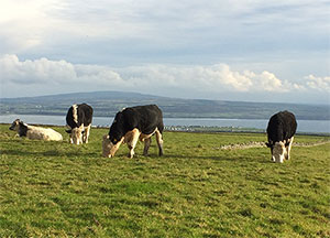Galway to County Clare - October 21, 2016