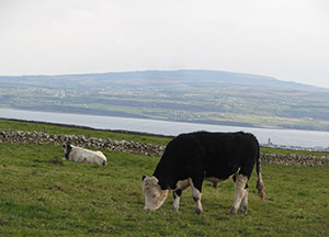 Cliffs of Moher - October 22, 2016