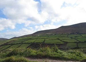 Road to Dingle - October 23, 2016