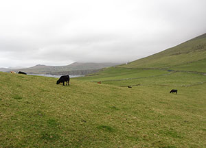 Dingle: A little Rain - October 26, 2016