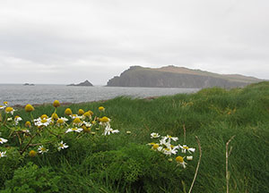 Dingle: A little Rain - October 26, 2016
