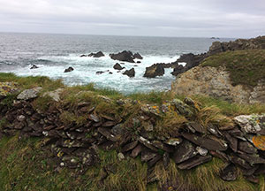 Dingle: A little Rain - October 26, 2016