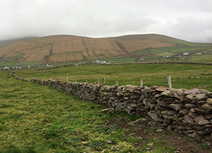 Dingle: A little Rain - October 26, 2016
