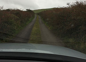 Dingle: A little Rain - October 26, 2016