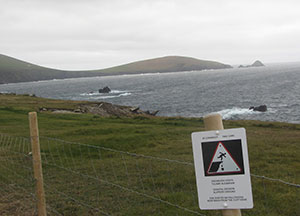 Dingle: Last Day In Paradise - October 27, 2016