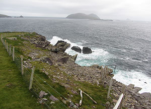 Dingle: Last Day In Paradise - October 27, 2016